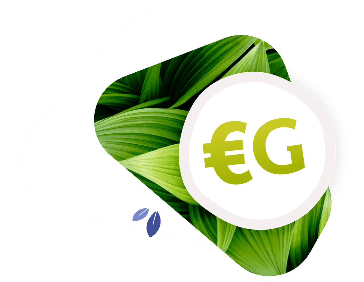 Compte CO2 - Euro Verts Illustration